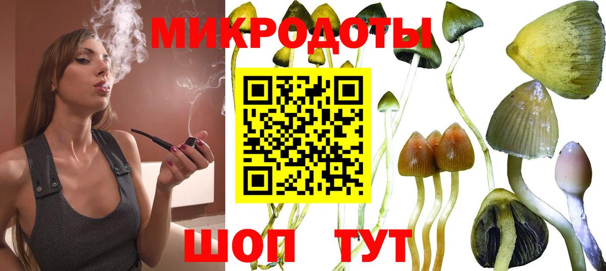 Псилоцибиновые грибы мицелий Усть-Лабинск
